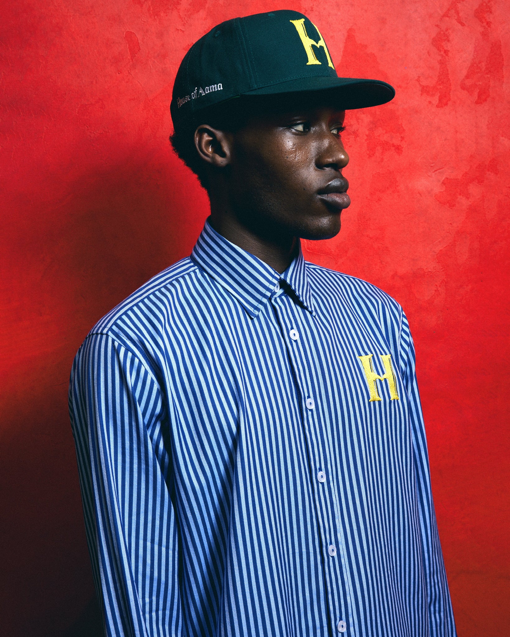 Blue Stripe Button Down Shirt - Pre Order