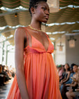 Anancy Dress Iridescent Maxi