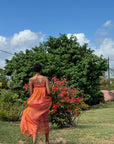 Anancy Dress Iridescent Maxi