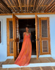 Anancy Dress Iridescent Maxi