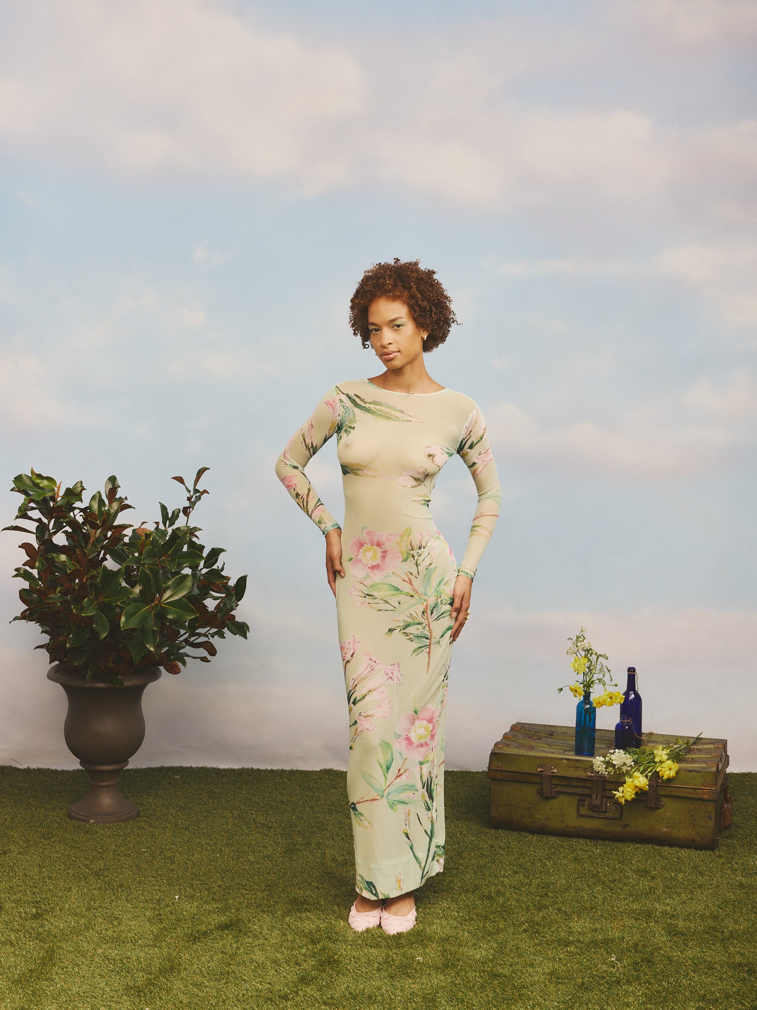 Swamp Rose Maxi Mesh Dress