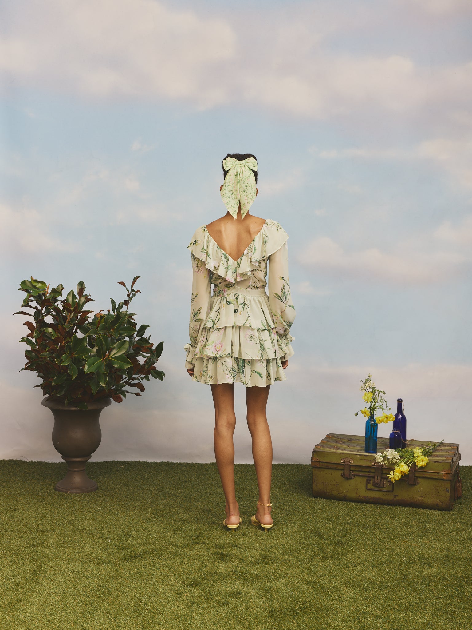 Swamp Rose Victorian Mini Dress-Pre-Order 6